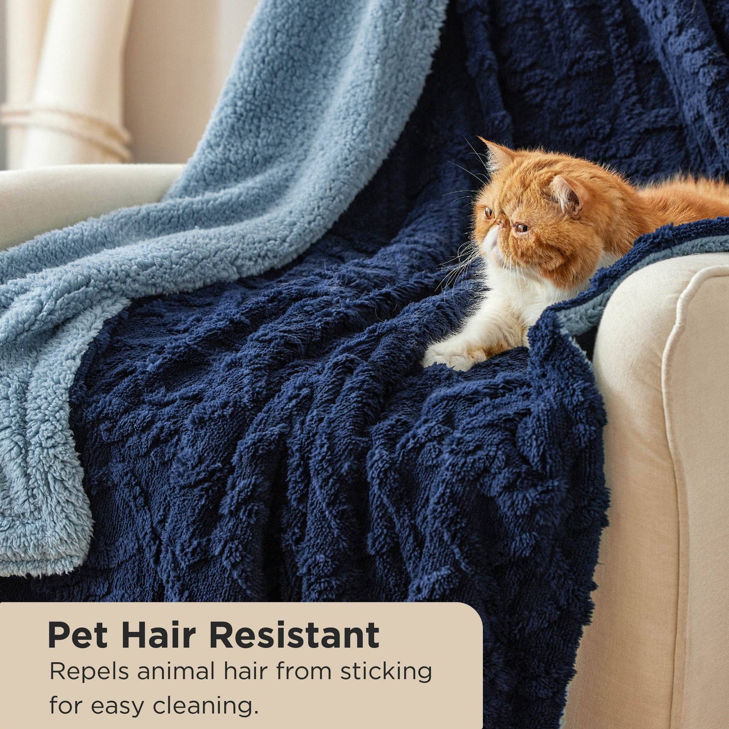 Sherpa Throw Blanket For Couch
