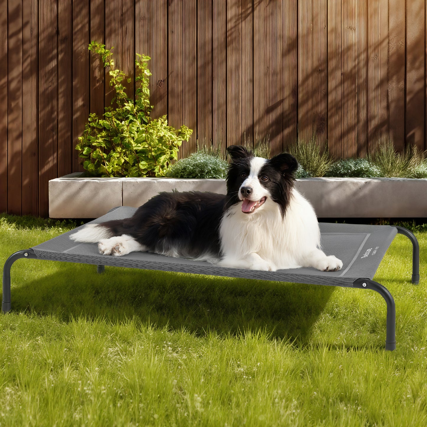 Elevated Dog Bed