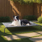 Elevated Dog Bed