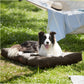 Plush Waterproof Dog Bed