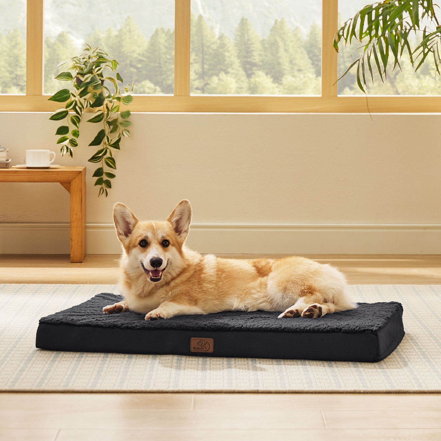 Egg Crate Foam Dog Bed