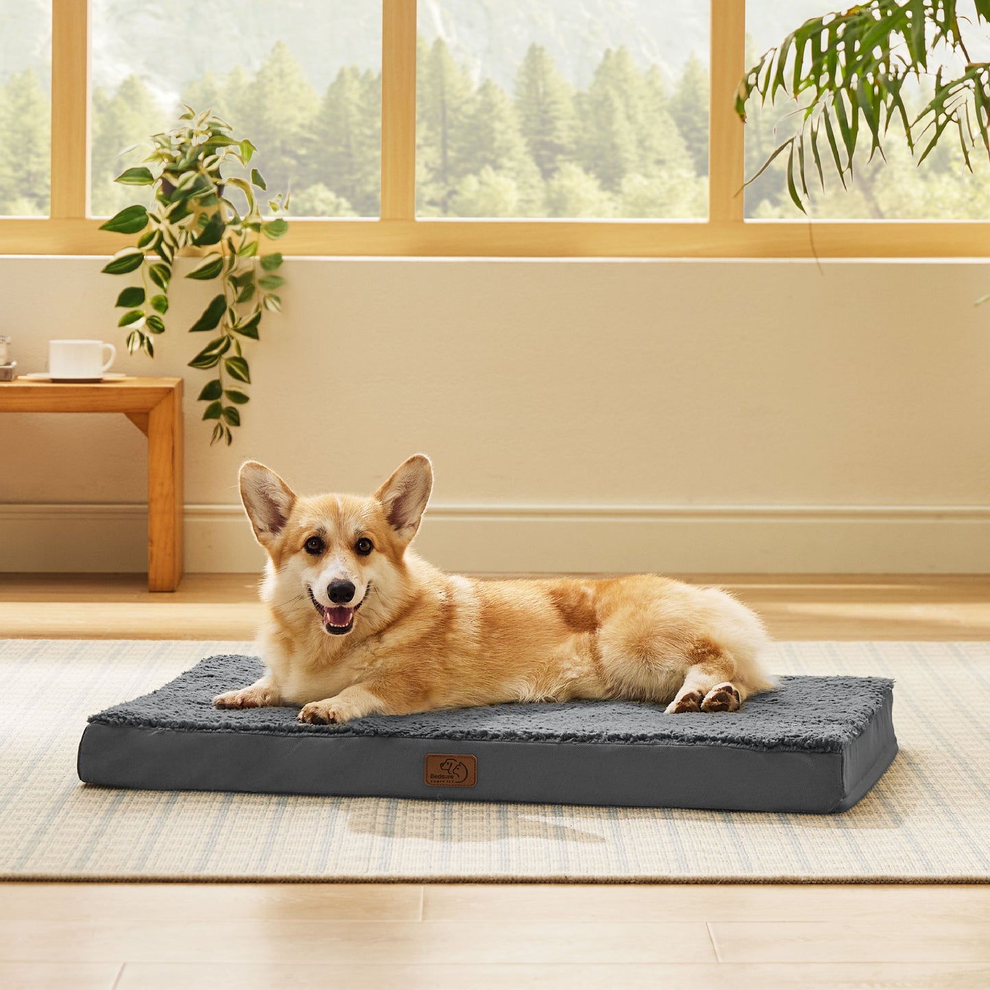 Egg Crate Foam Dog Bed