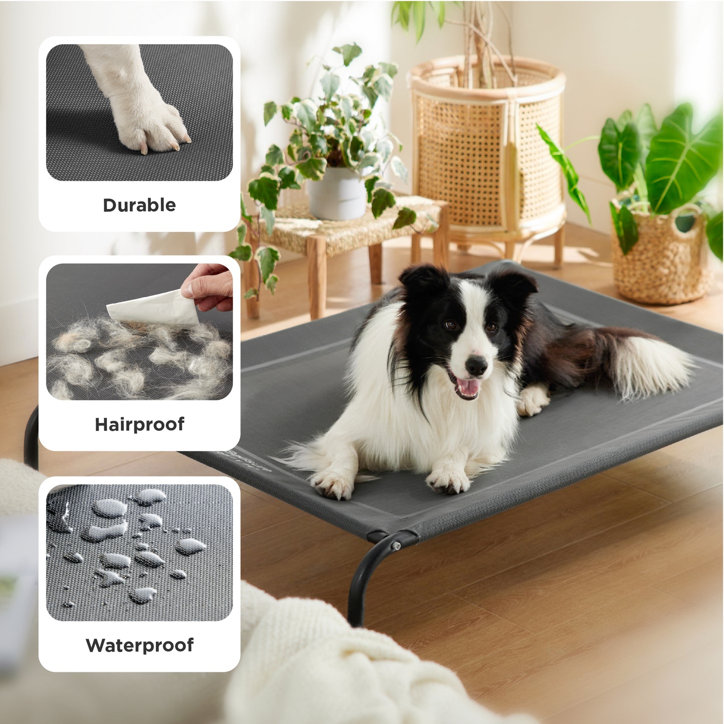 Elevated Dog Bed