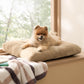 Fluffy Dog Mat