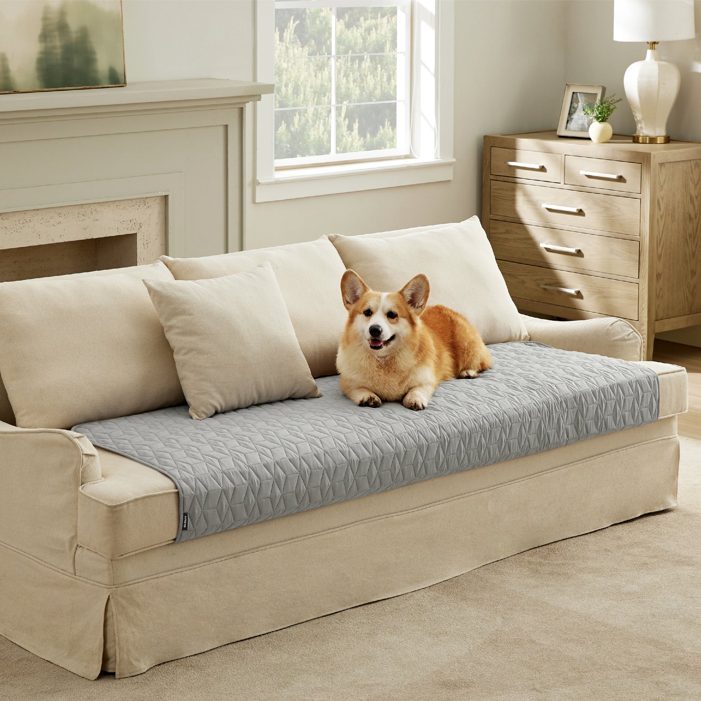 Pet Sofa Protector