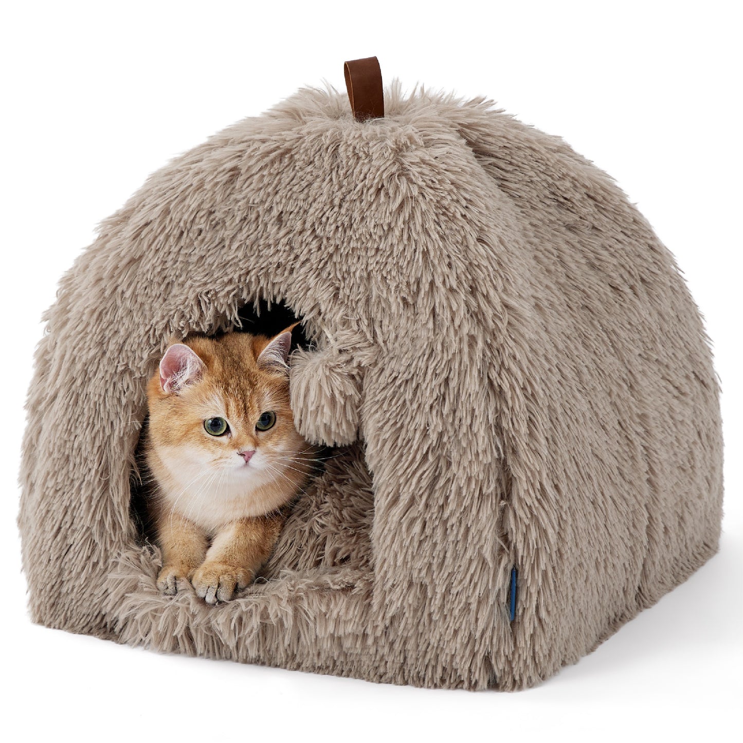 Cat Tent