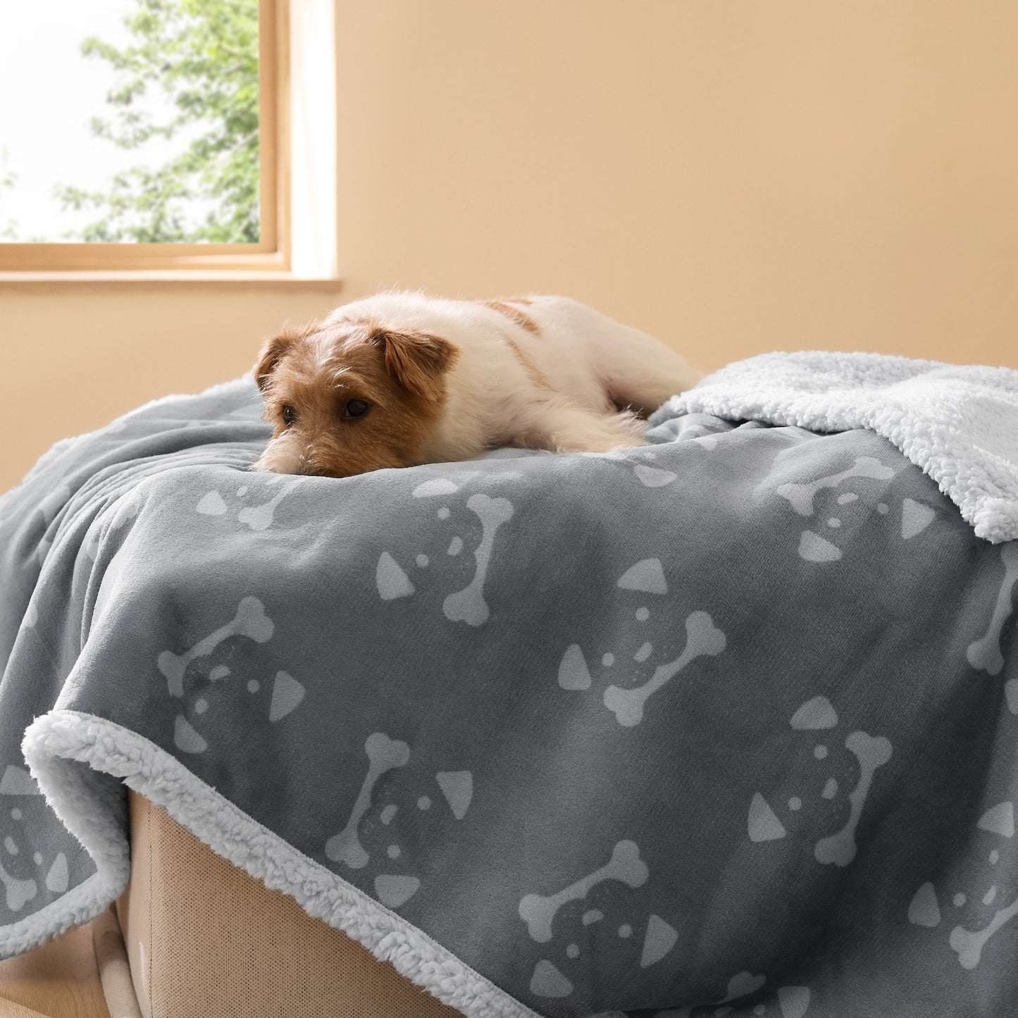 Reversible Waterproof Sherapa Blanket