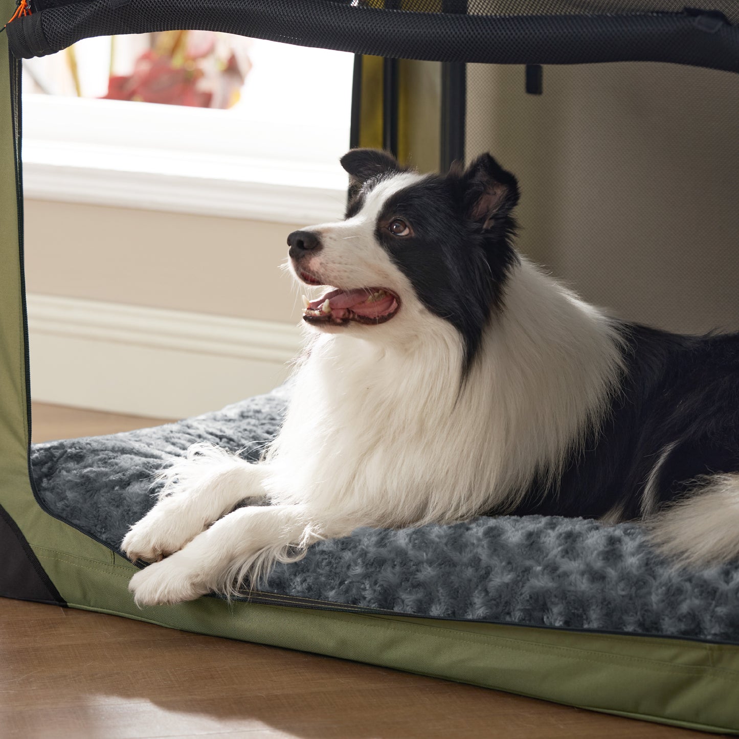 Comfy Dog Bed Mat