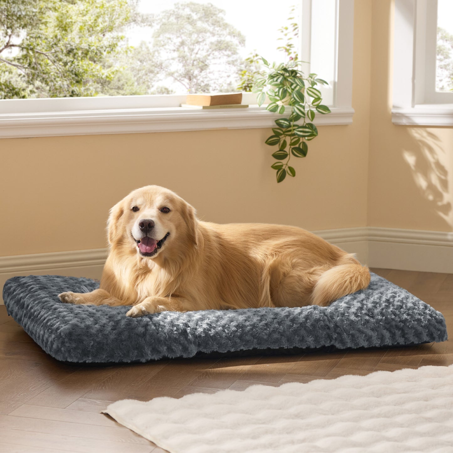 Comfy Dog Bed Mat