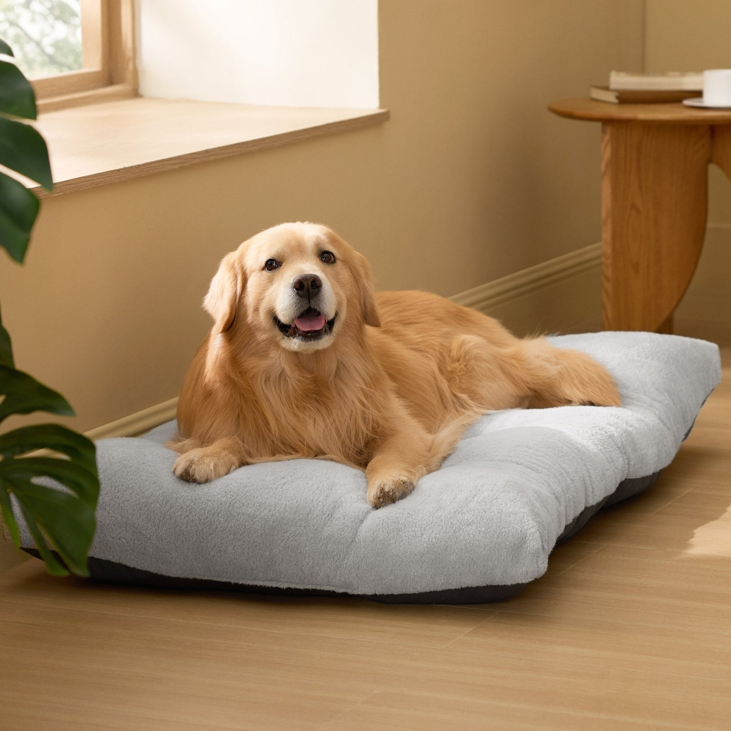 Fluffy Dog Mat