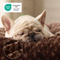 Comfy Dog Bed Mat
