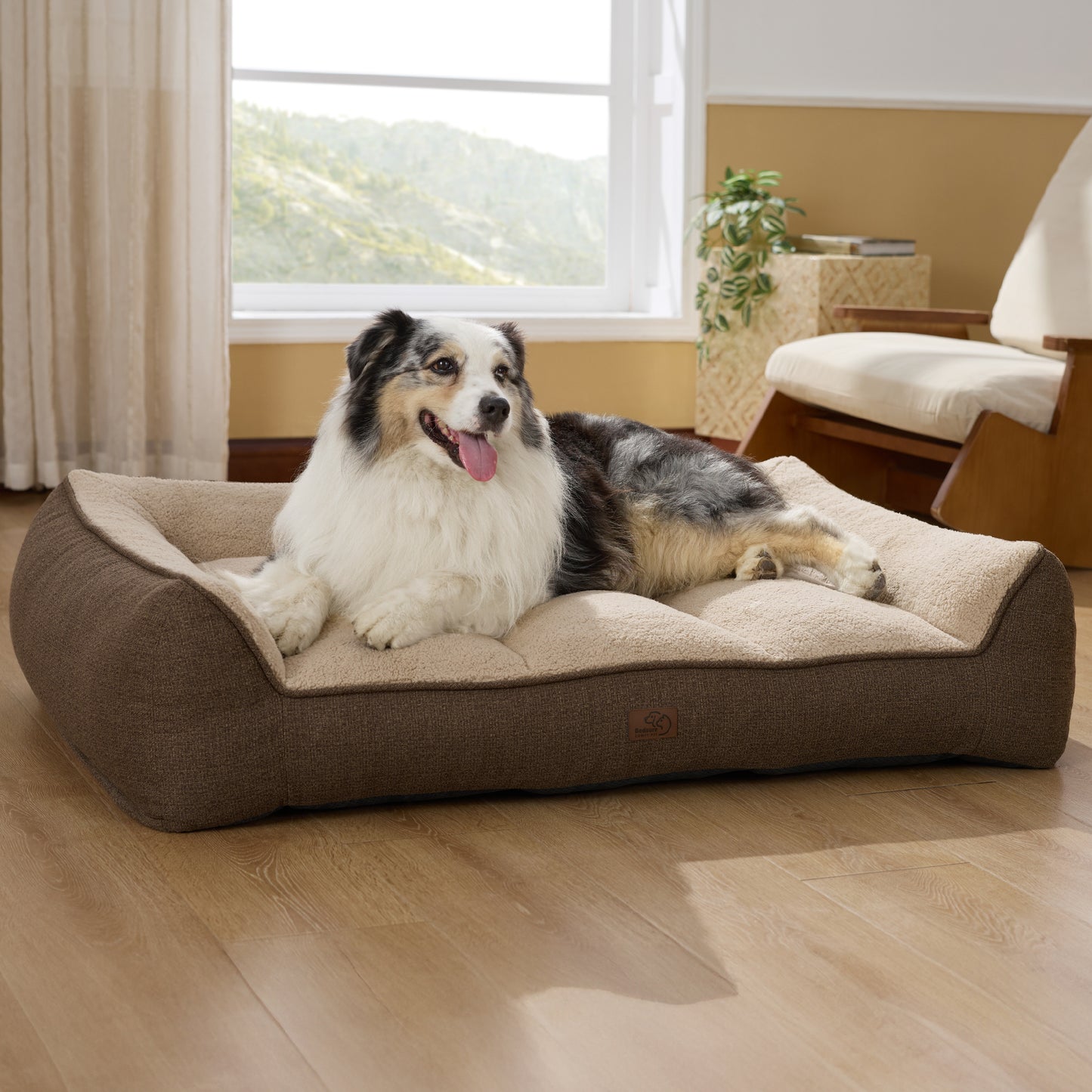Supportive Dog Couch