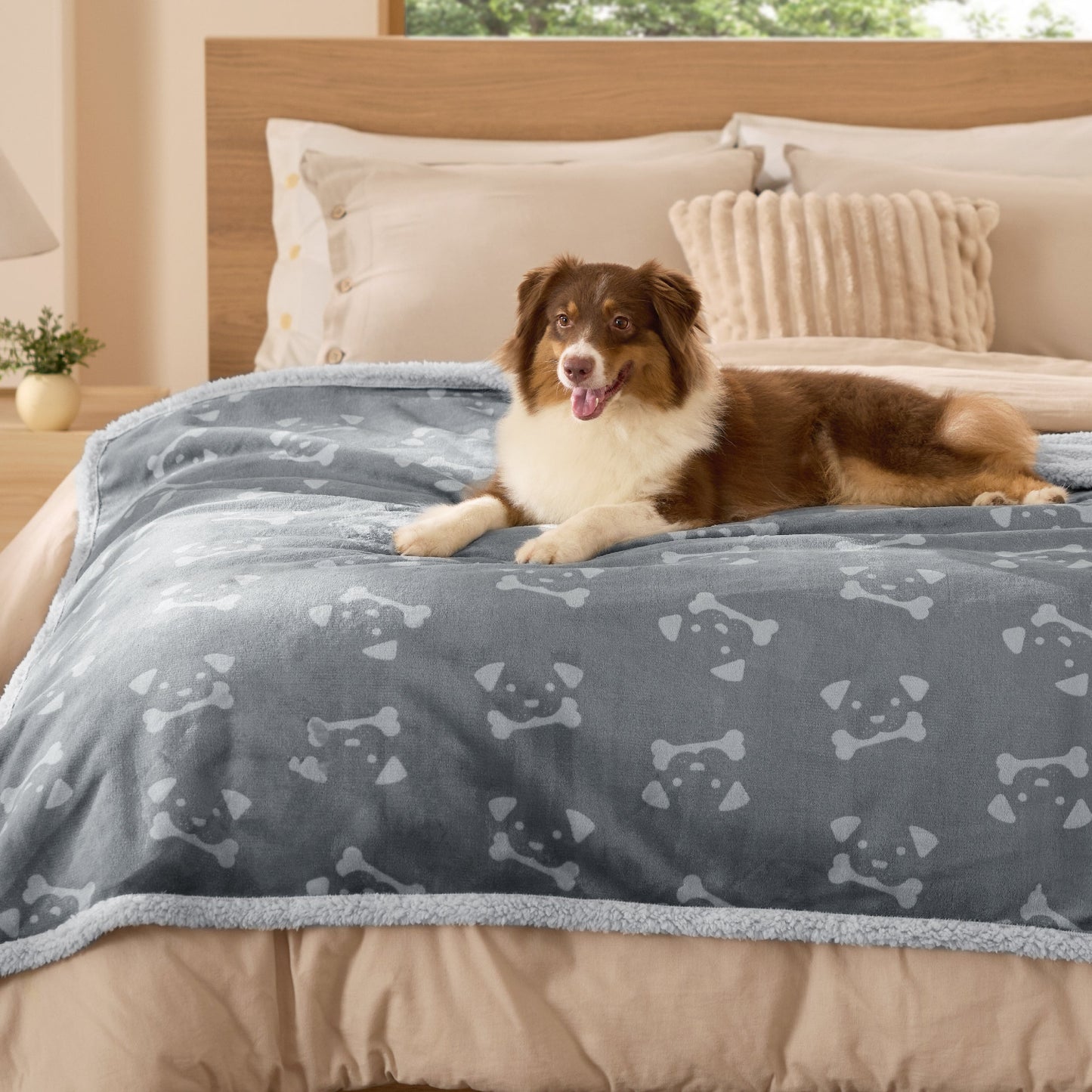 Reversible Waterproof Sherapa Blanket