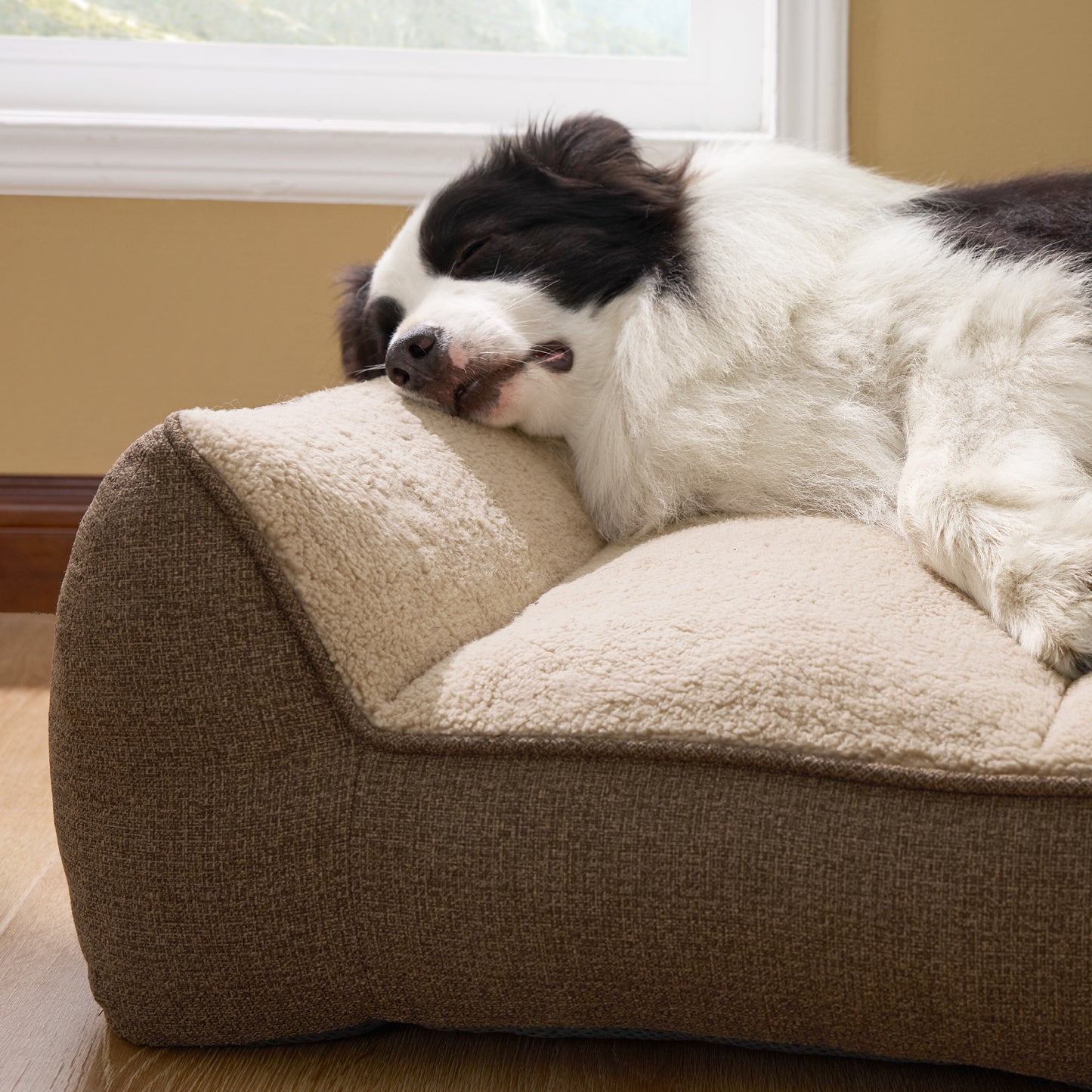 Supportive Dog Couch