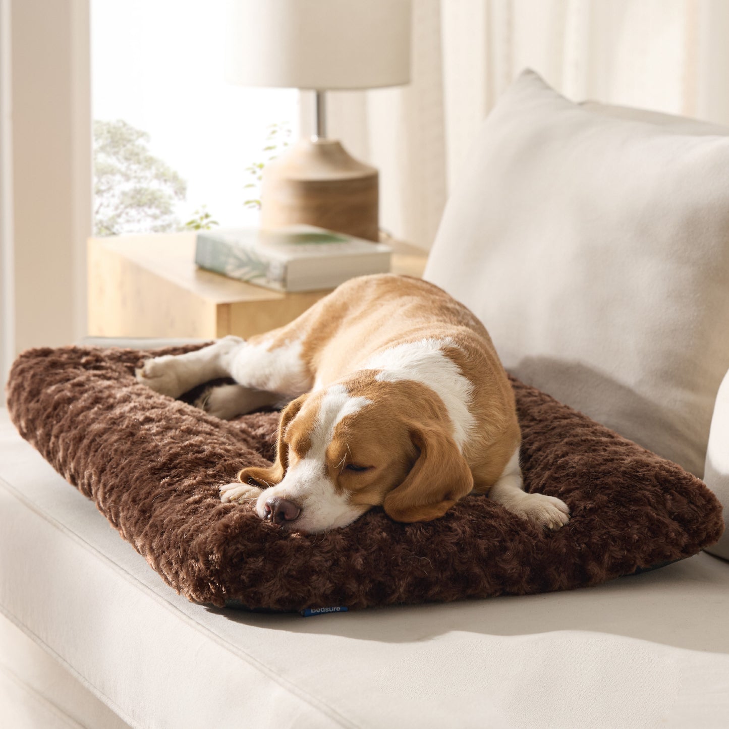 Comfy Dog Bed Mat