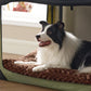 Comfy Dog Bed Mat