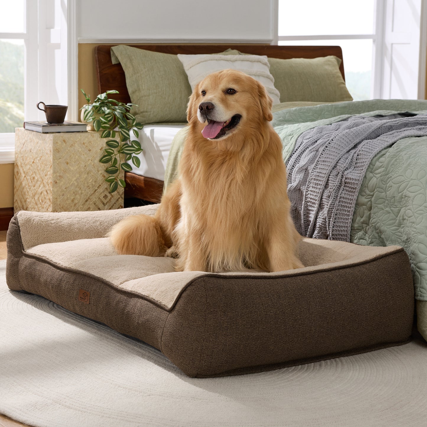 Supportive Dog Couch