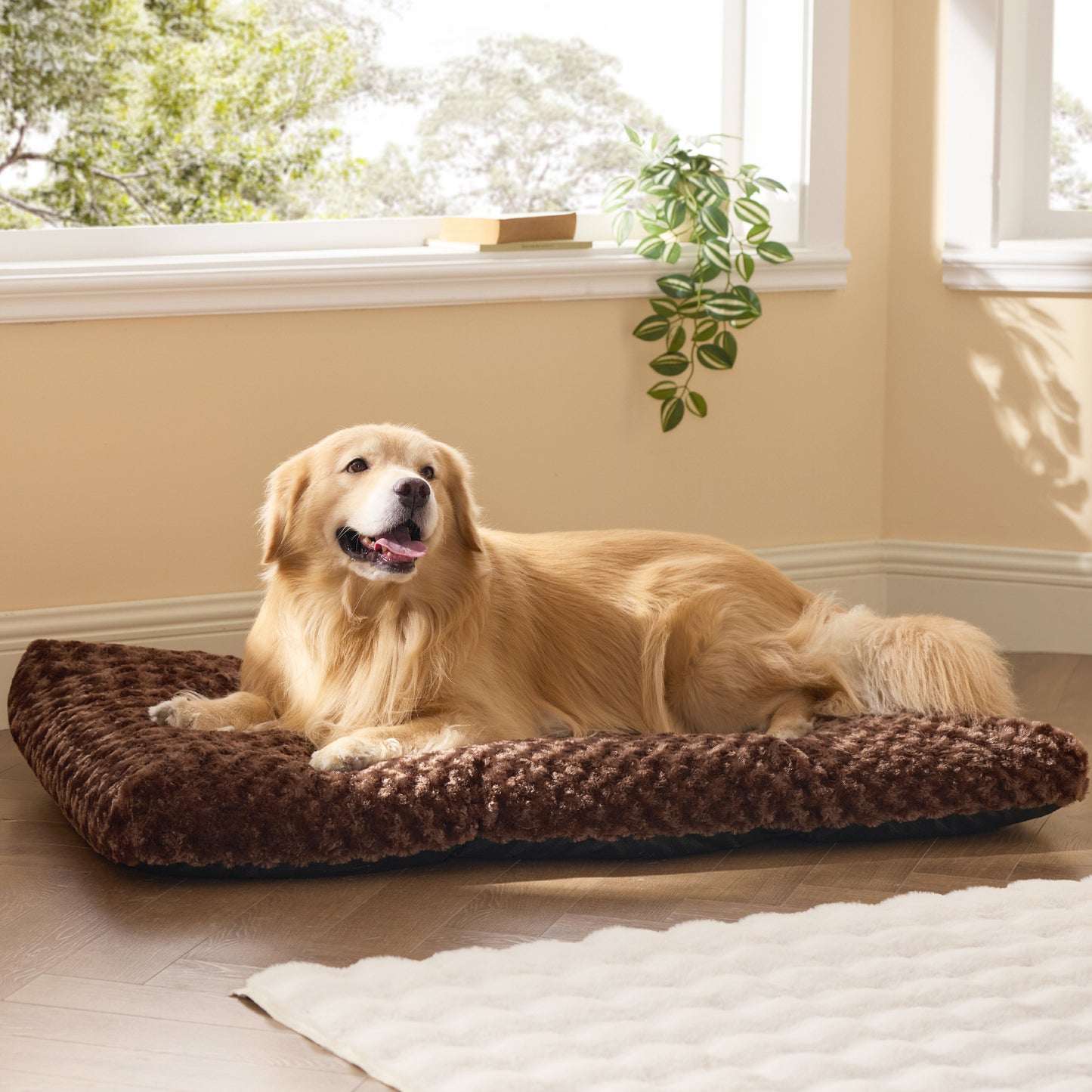 Comfy Dog Bed Mat