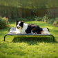 Elevated Dog Bed