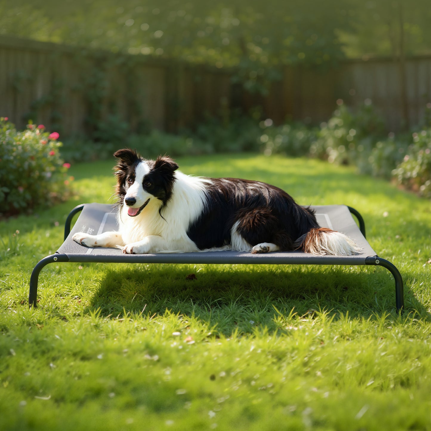 Elevated Dog Bed
