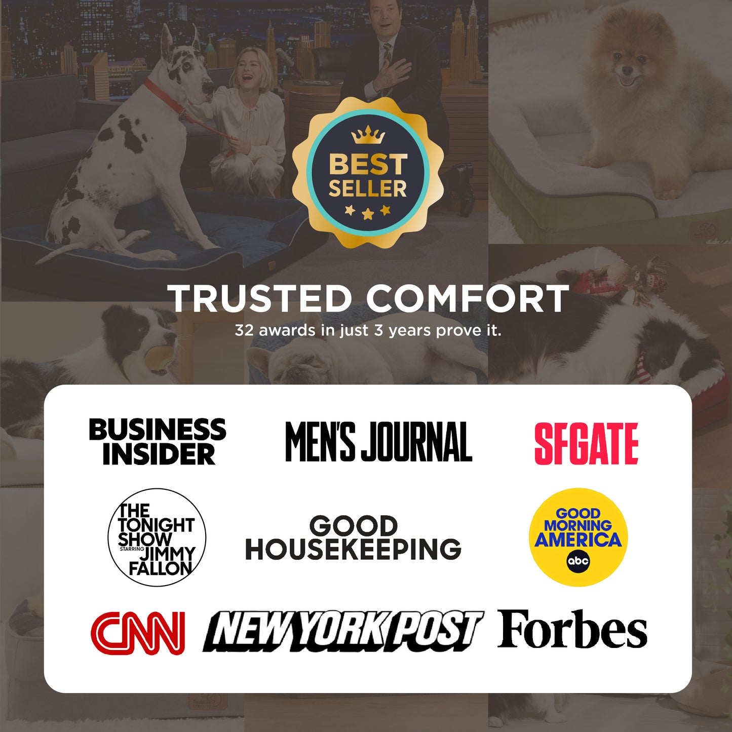 Orthopedic Pet Sofa