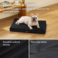 Egg Crate Foam Dog Bed