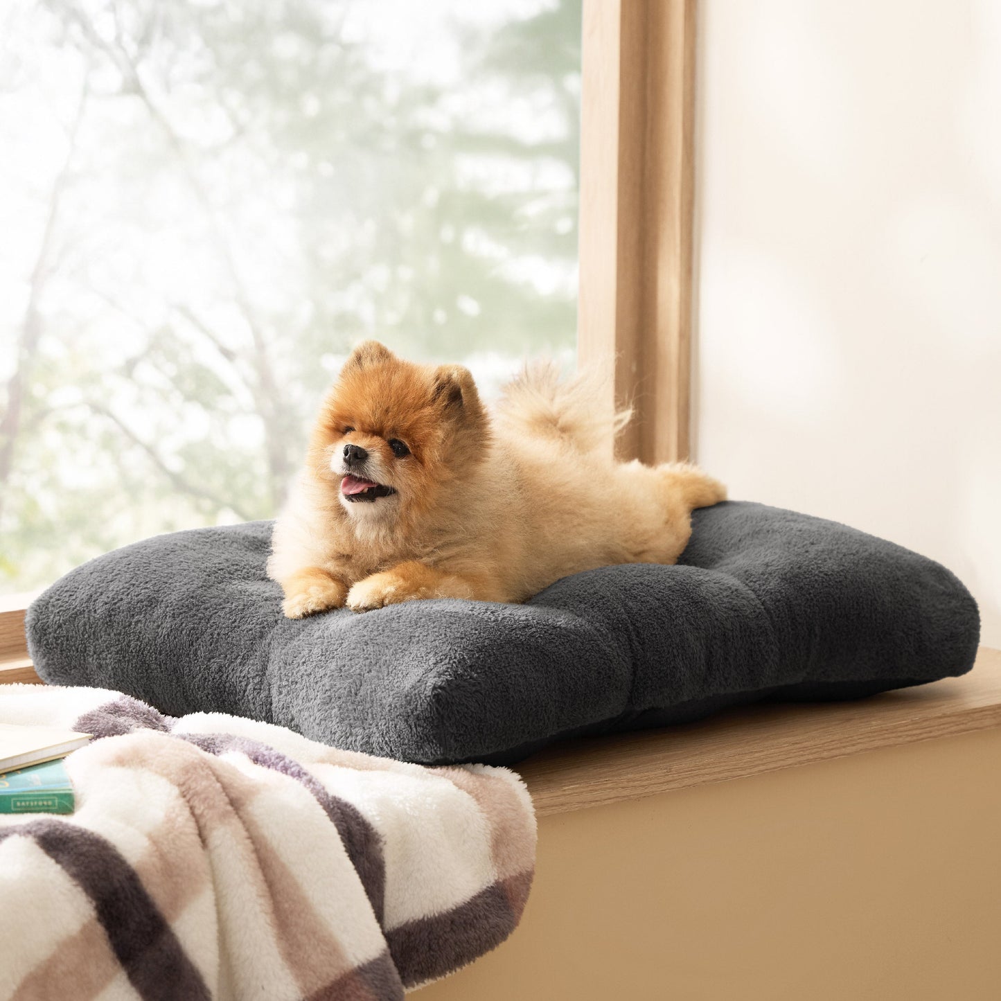 Fluffy Dog Mat
