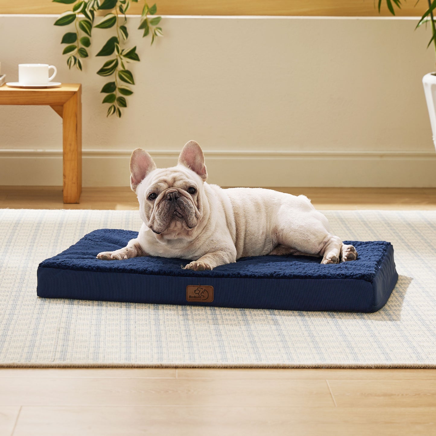 Egg Crate Foam Dog Bed