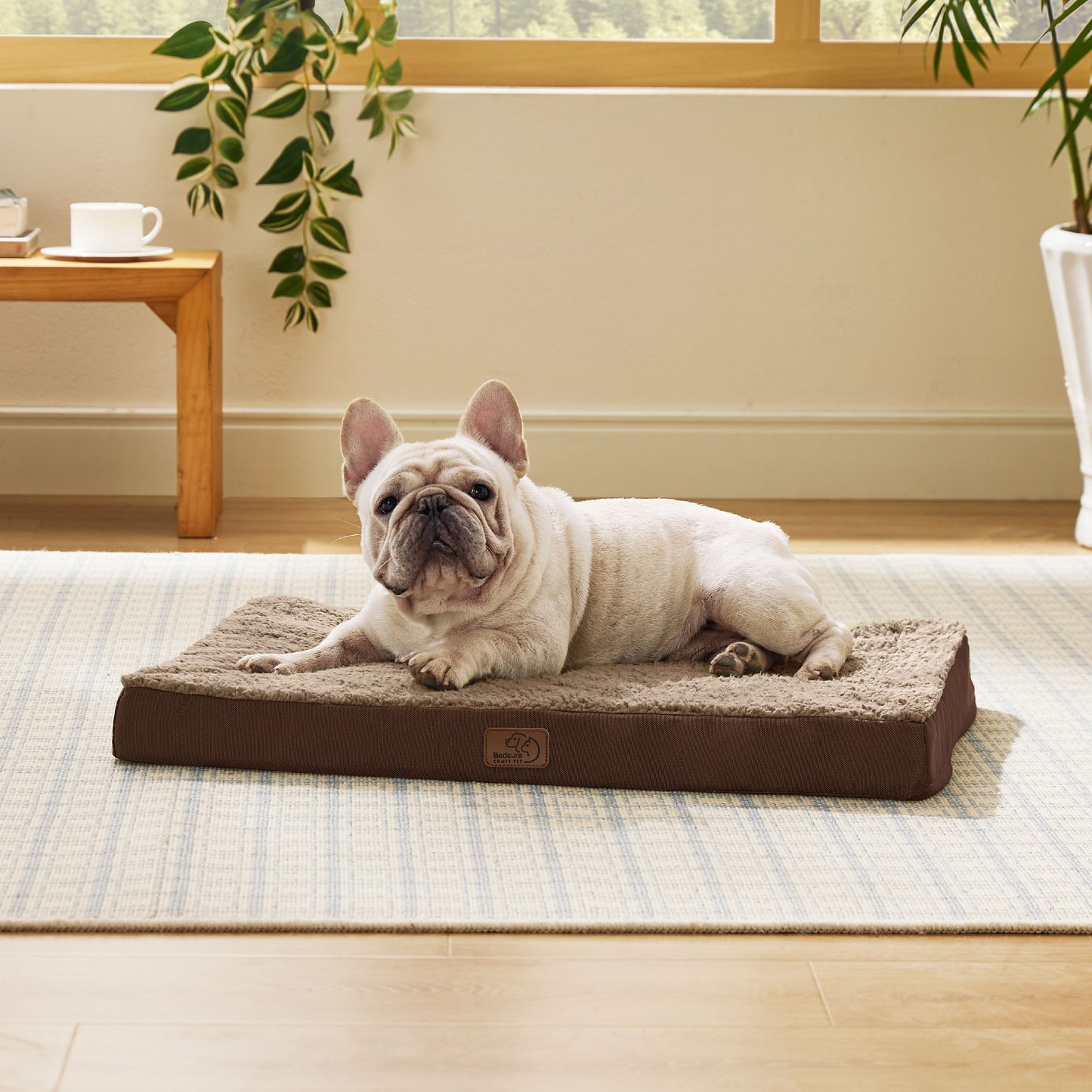 Egg Crate Foam Dog Bed