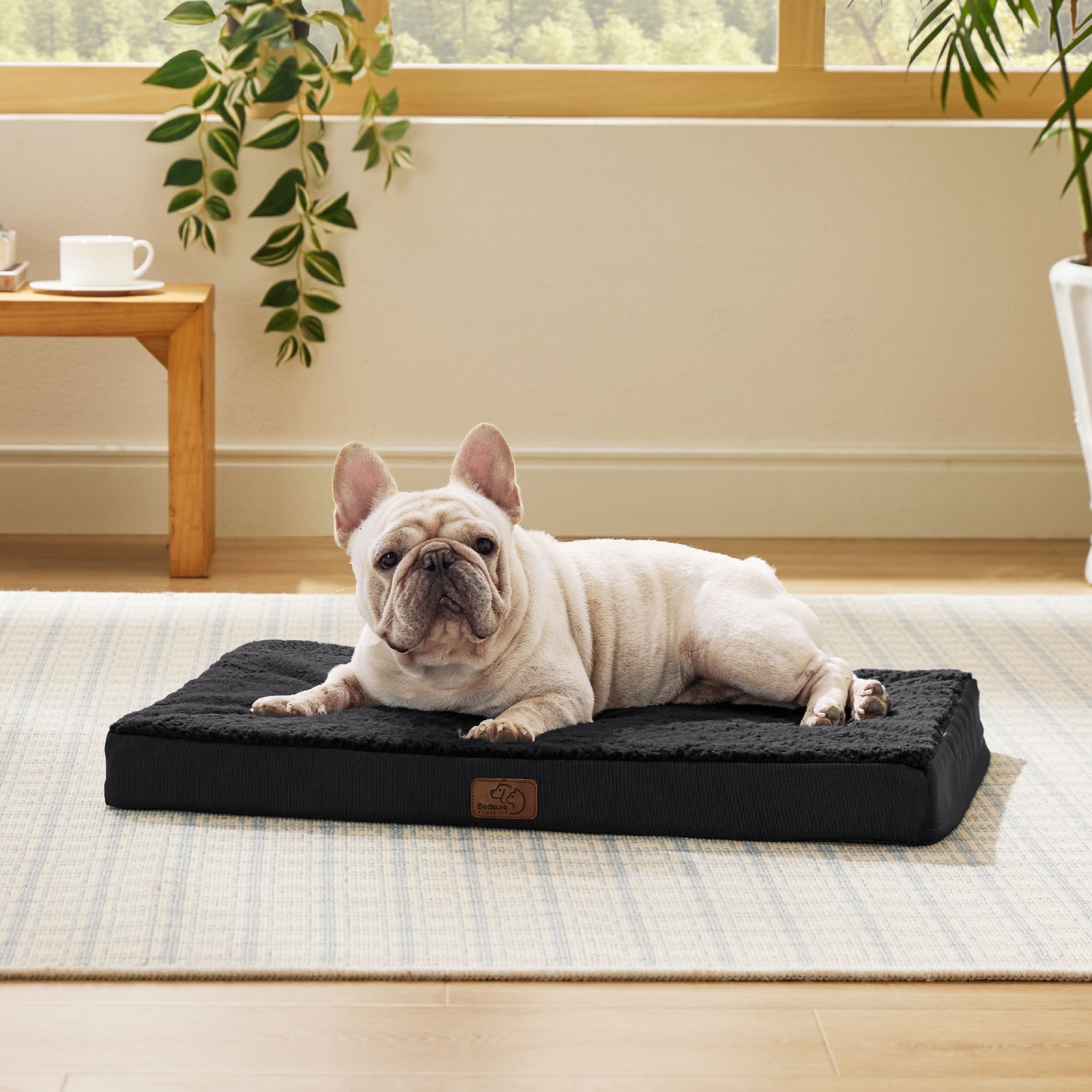 Egg Crate Foam Dog Bed