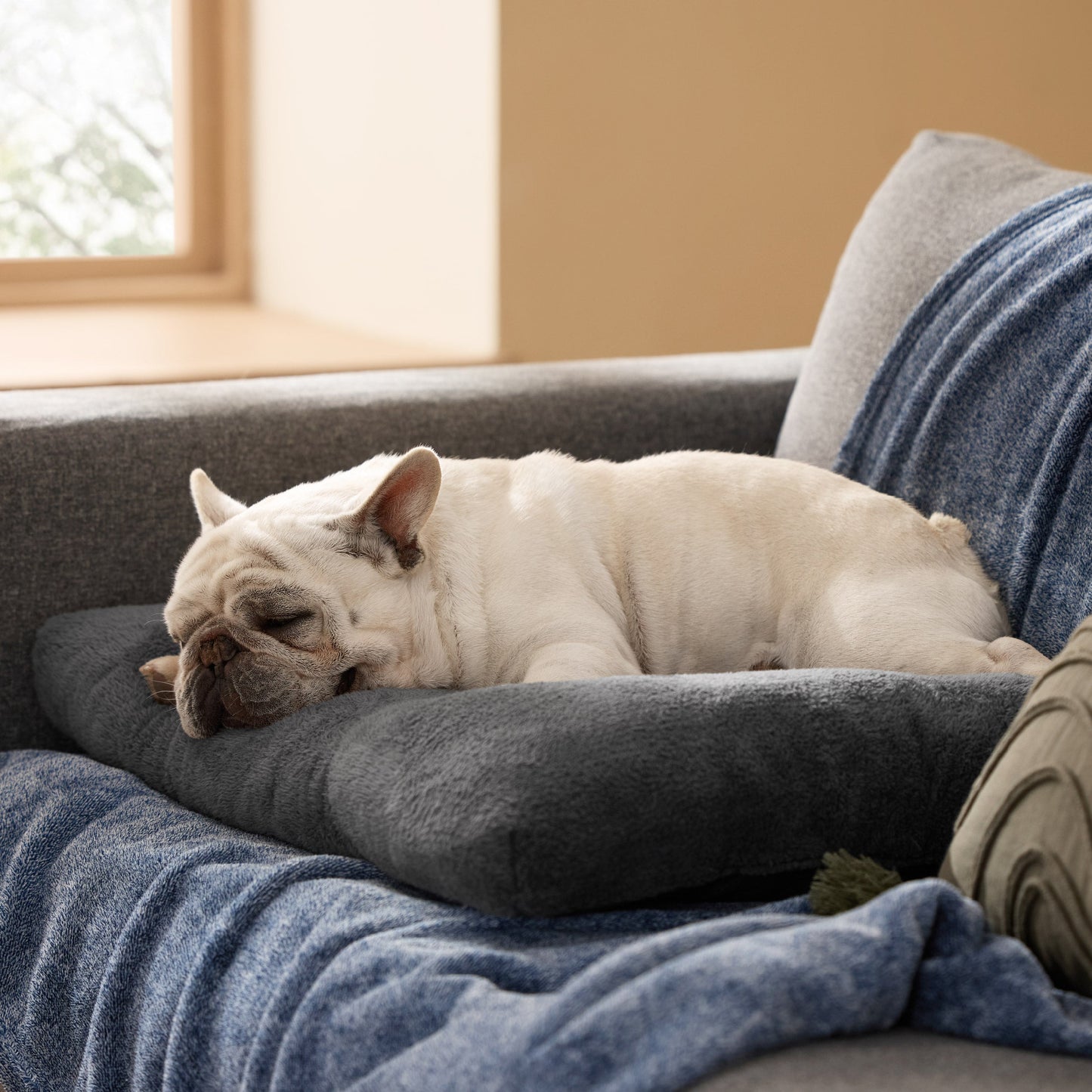 Fluffy Dog Mat