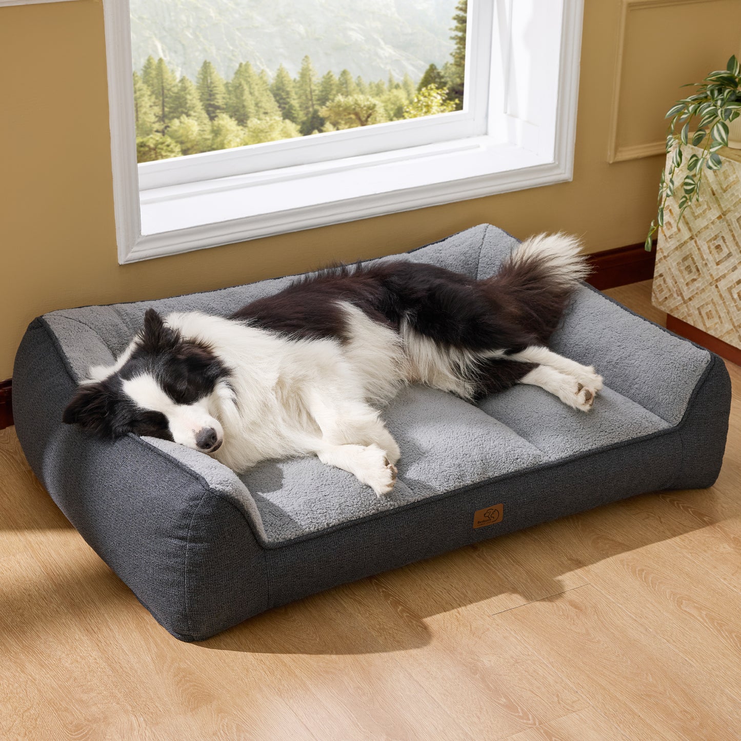 Supportive Dog Couch