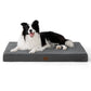 Egg Crate Foam Dog Bed