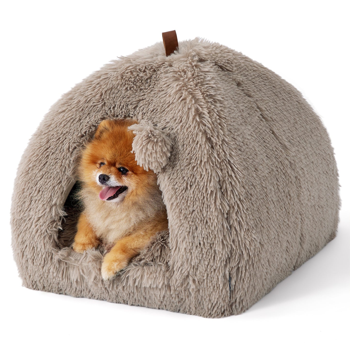 Cat Tent