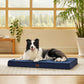 Egg Crate Foam Dog Bed
