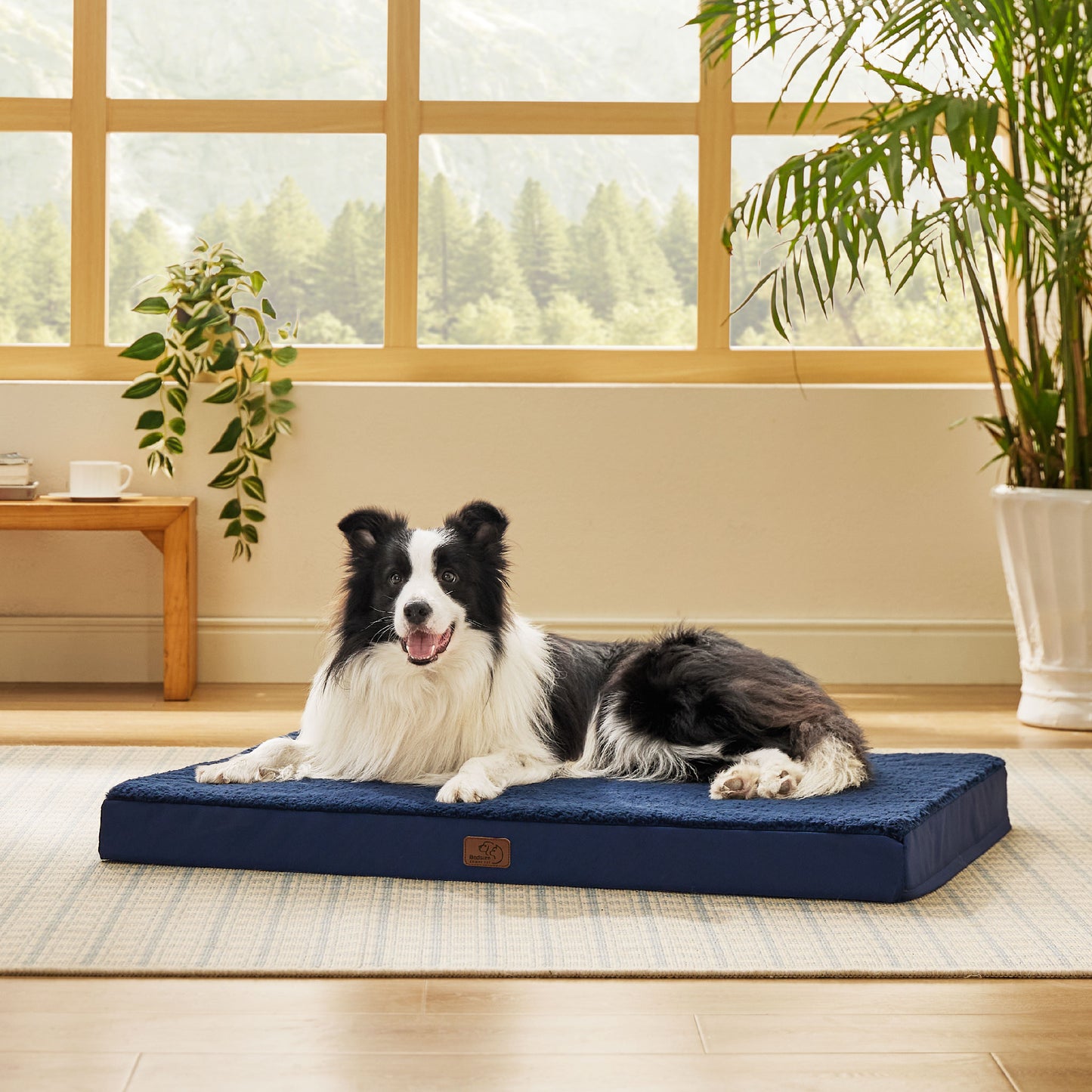 Egg Crate Foam Dog Bed