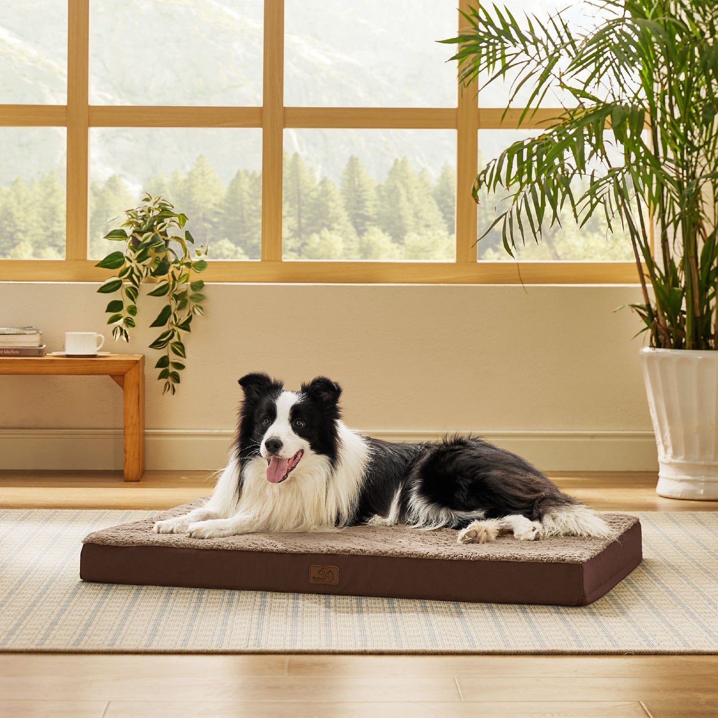 Egg Crate Foam Dog Bed