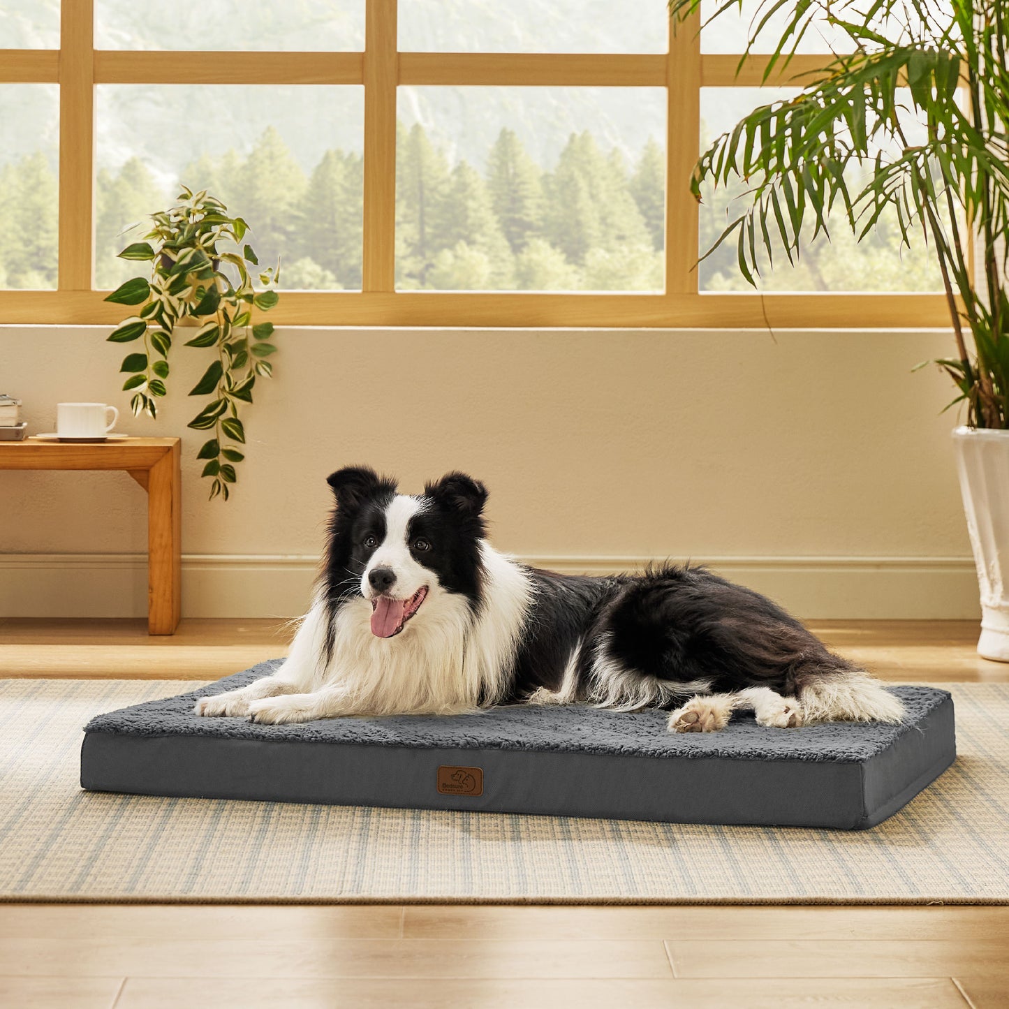 Egg Crate Foam Dog Bed