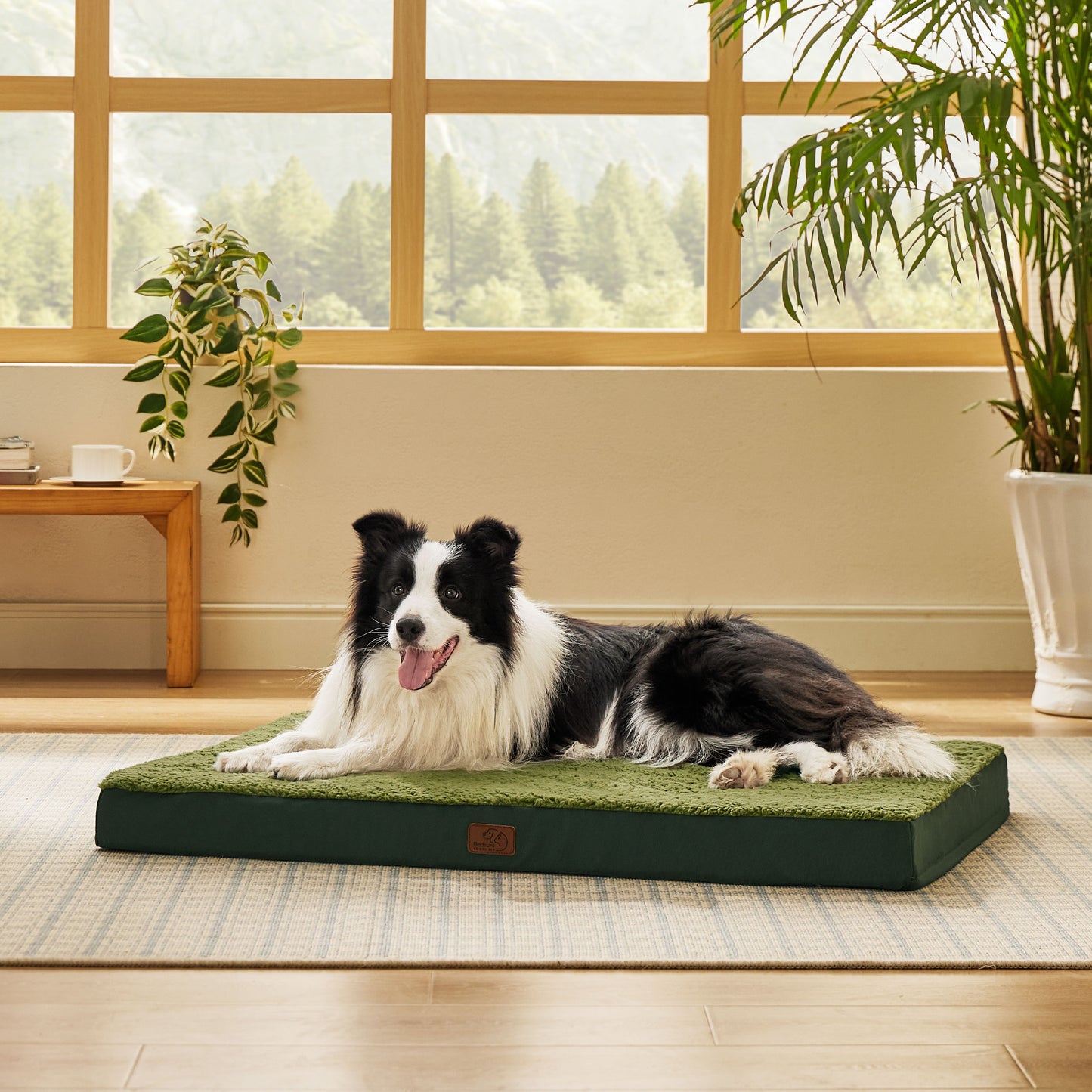 Egg Crate Foam Dog Bed