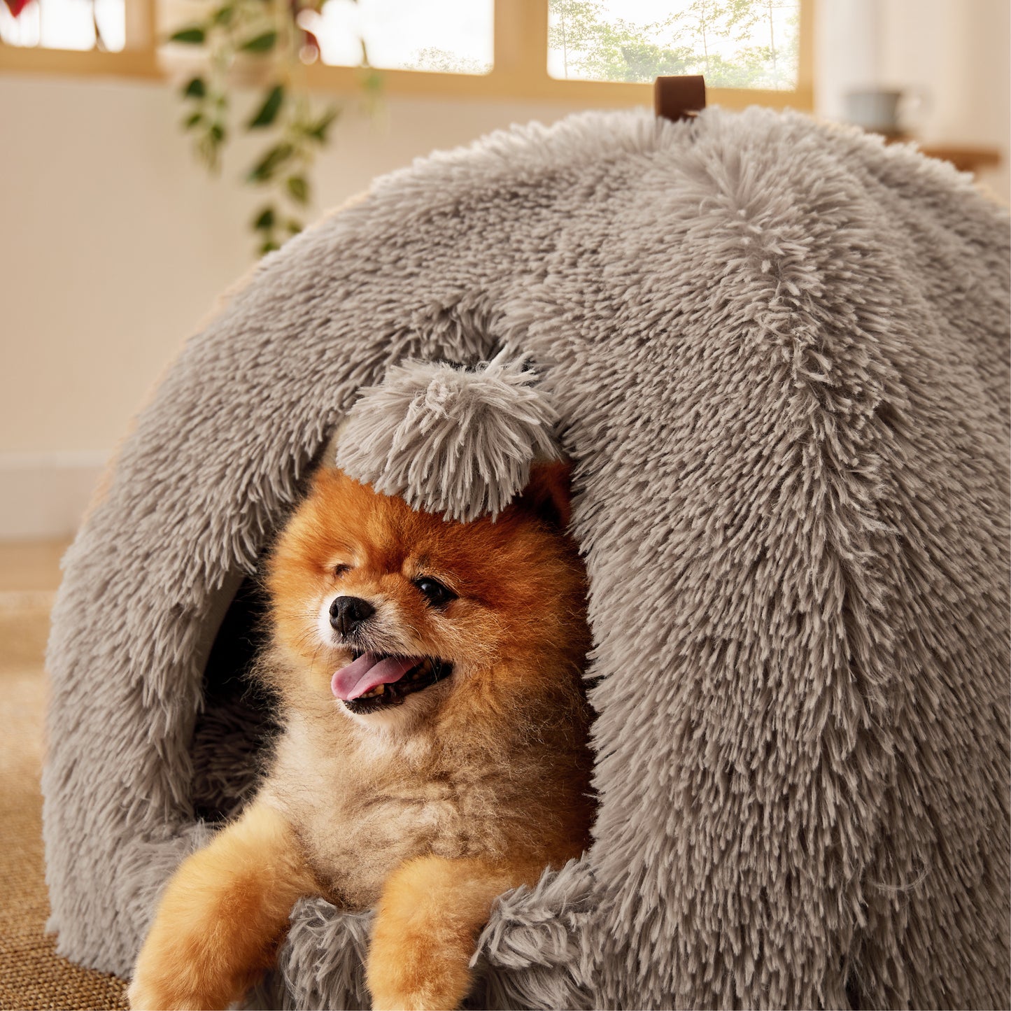 Cat Tent