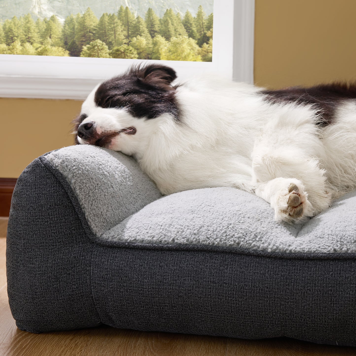 Supportive Dog Couch
