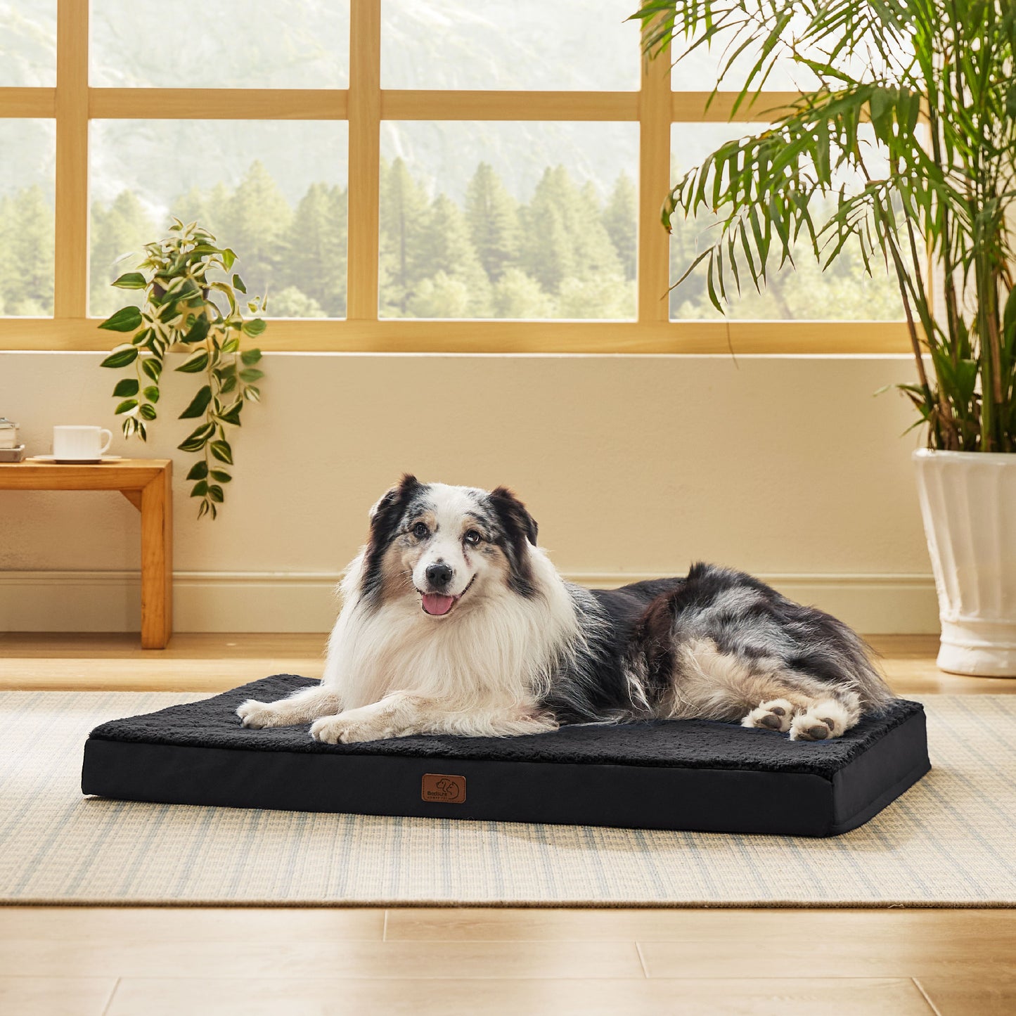 Egg Crate Foam Dog Bed