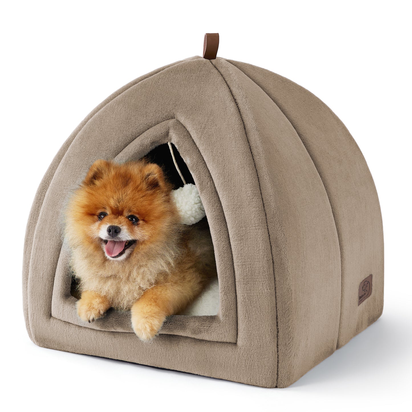 Cat Tent