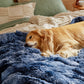 Waterproof Dog Blanket