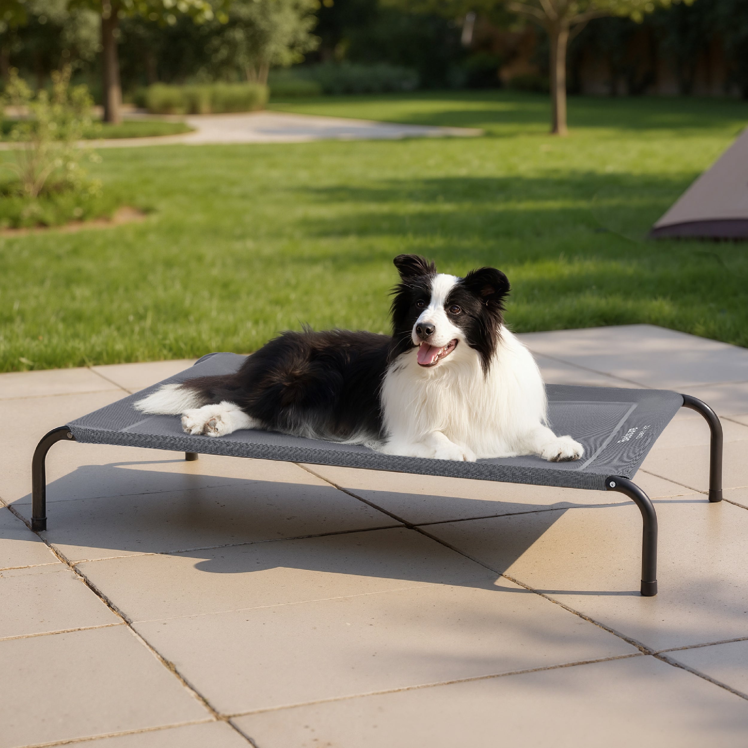 Elevated Dog Bed