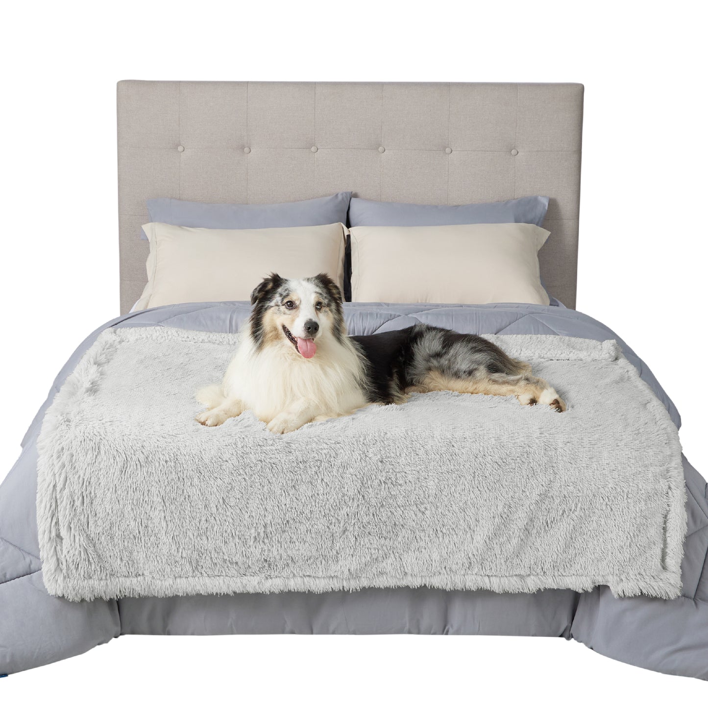 Waterproof Dog Blanket