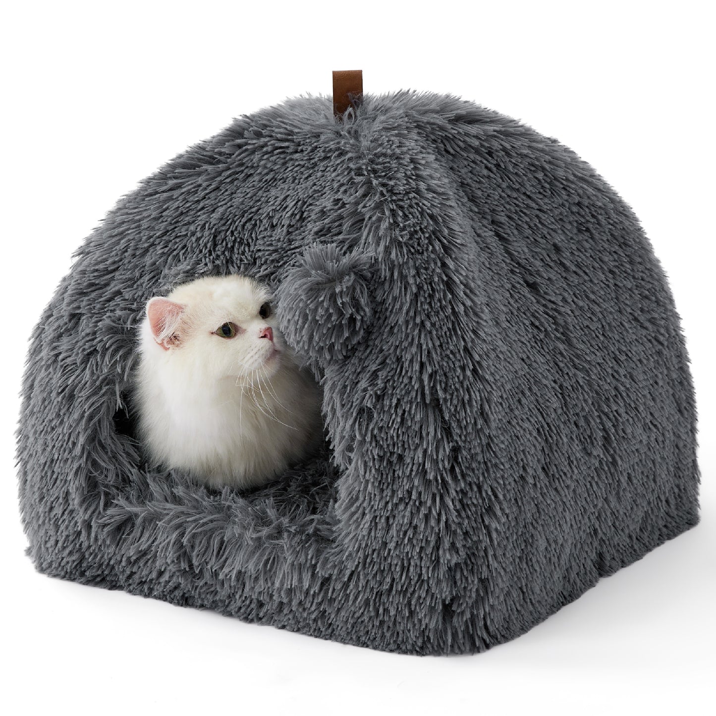 Cat Tent