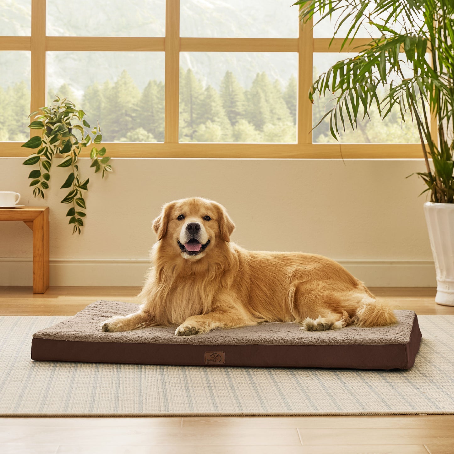 Egg Crate Foam Dog Bed