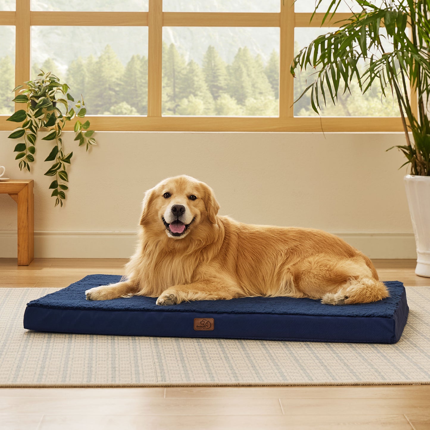 Egg Crate Foam Dog Bed