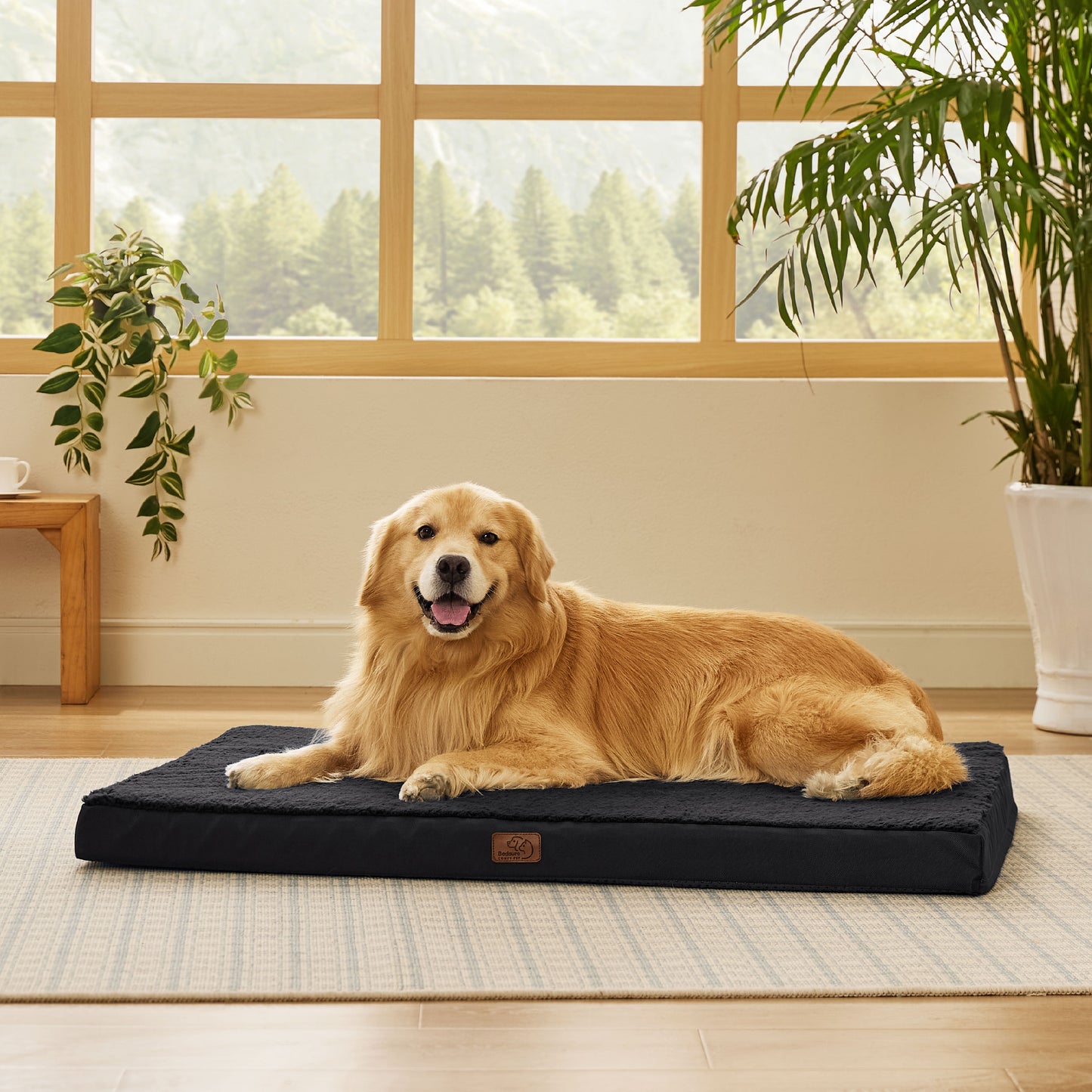 Egg Crate Foam Dog Bed